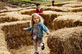 Poppell Farms Hayride pumpkin patch savannah georgia maze 2019 Fall 