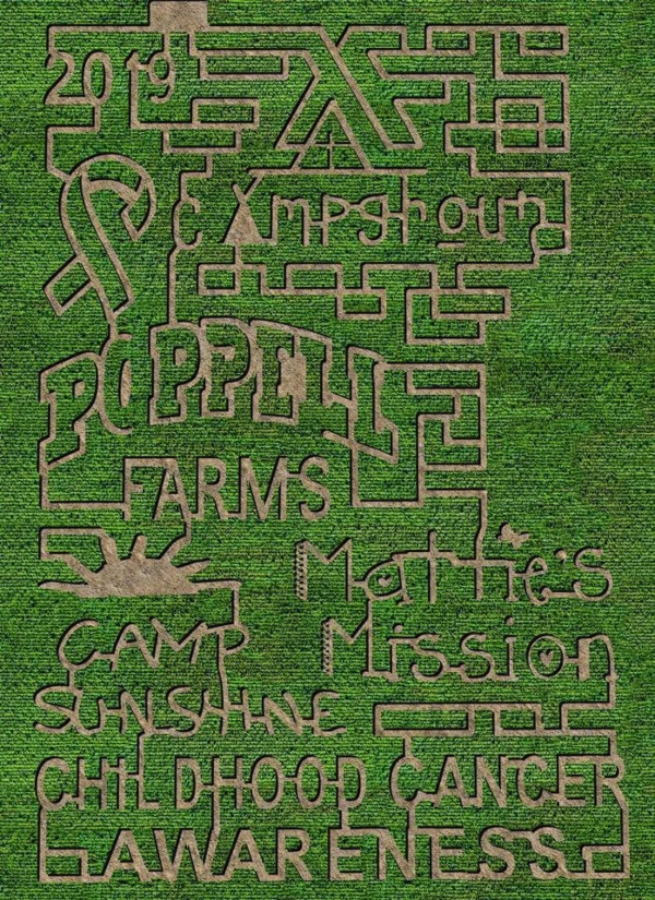 poppell farms savannah pumpkin patch maze 
