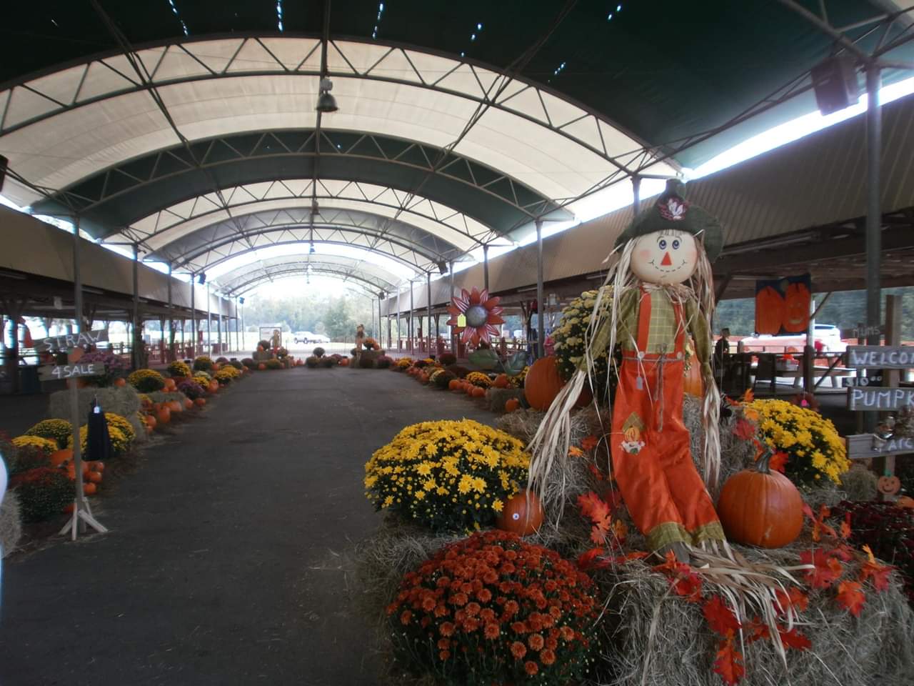 Pumpkin Patch Richmond Hill 2019 Savannah 