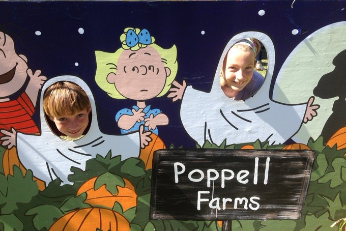 Poppell Farms pumpkin patch hayrides maze fall Savannah Chatham County 2019