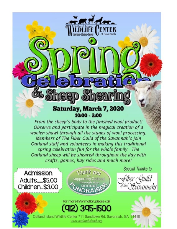 Spring Festival Sheep Shearing Oatland Island Savannah 2020 