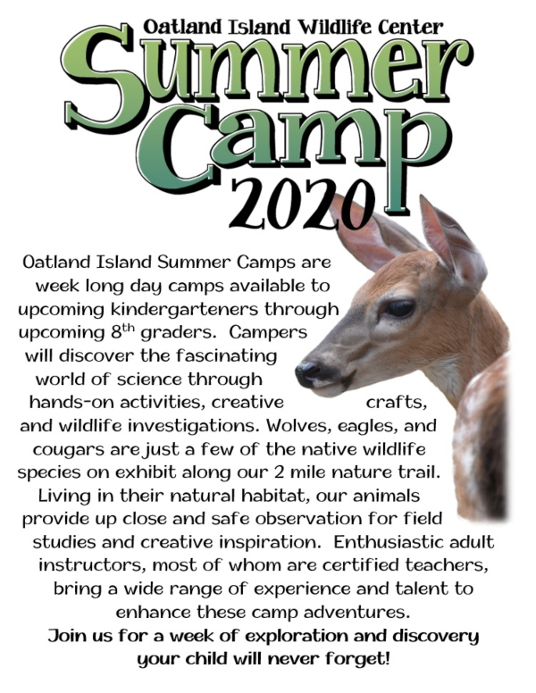 Summer Camp 2020 Savannah Oatland Island Wildlife Center 