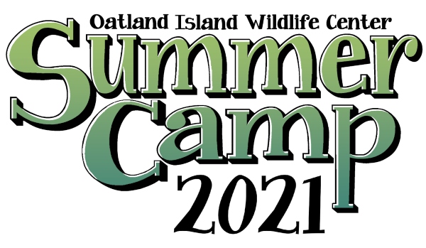 Summer Camps 2021 Savannah Oatland Island Wildlife Center 