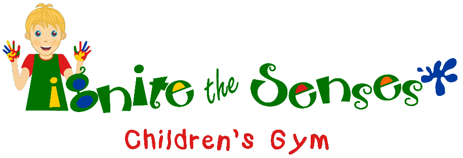 Ignite Senses Children's Gym Autism Bluffton Lowcountry Hilton Head 