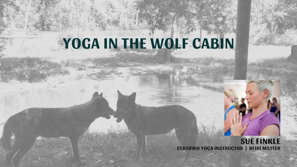 Yoga Wolf Cabin Oatland Island Wildlife Center Friends Chatham County Savannah 