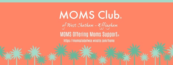 MOMS Club West Chatham Effingham support groups moms Savannah Pooler Bloomingdale 
