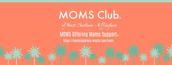 MOMS Club West Chatham Effingham support groups moms Savannah Pooler Bloomingdale 