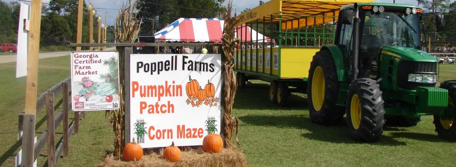 Poppell Farms pumpkin patch hayrides corn maze 