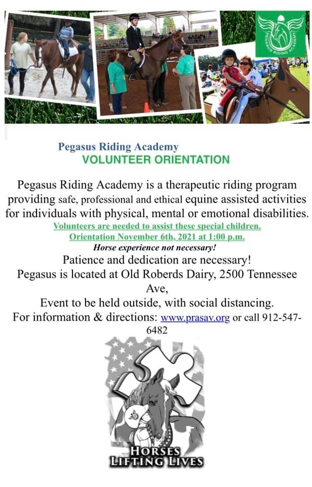 Pegasus Riding Academy Savannah volunteers needed 