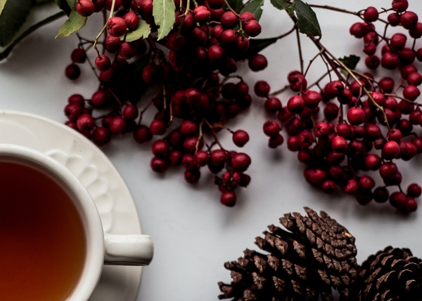 Sober Support Holidays Savannah counseling therapists