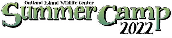 Summer Camps Savannah Oatland Island Wildlife Center 2022 Savannah 