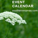 event calendar savannah events chatham county pooler 