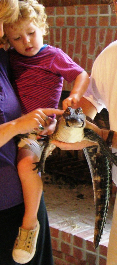 Gator Program Southern Mamas » Blog Archive » Children’s activities just outside ...