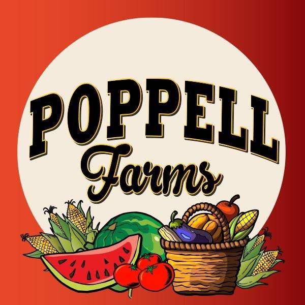 Poppell Farms pumpkin patch maze hayrides 