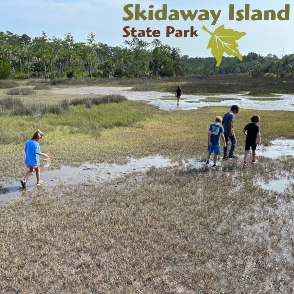 This image has an empty alt attribute; its file name is skidaway-Island-State-Park-Junior-ranger-camp-2025.jpg